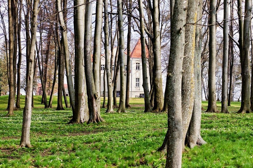 Zespol Palacowy Pacoltowo Na Wylacznosc Extérieur photo